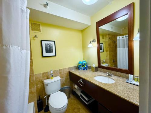 a bathroom with a toilet and a sink and a mirror at Idyllic Yet Simple Oceanfront Resort Stay in Lihue