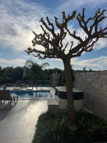 a tree sitting next to a swimming pool at Amare suite in Perivólia