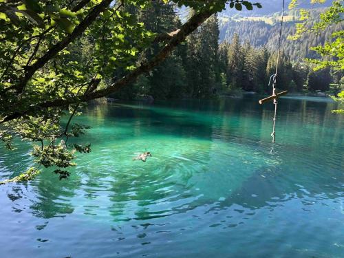 a person swimming in the blue water of a lake at Luxury family Chalet with extraordinary Mountain views in Trin