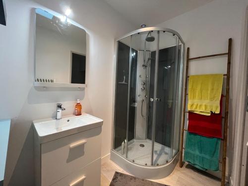 une salle de bain avec douche et lavabo dans l'établissement Charmant Penty proche toutes commodites, au Guilvinec