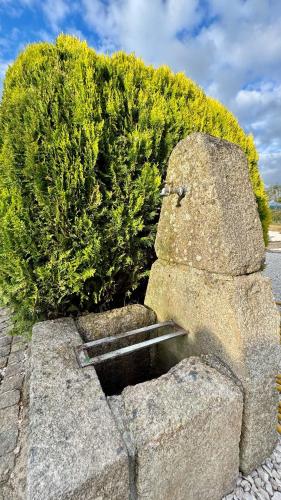 a bush sitting next to a stone fountain at Raízes da Vinha - Quartos & Chalé na Serra da Estrela in Carragozela