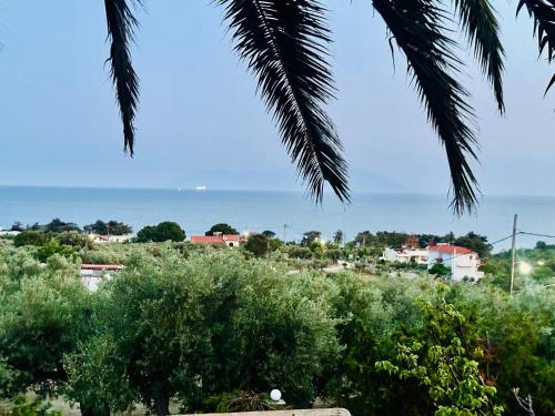 a view of the ocean from a palm tree at Blue Panorama Diamond in Mákri
