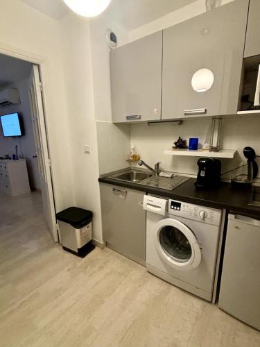 une cuisine avec une machine à laver et un évier dans l'établissement La Terrasse de Monaco Swimming pool, à Cap d'Ail
