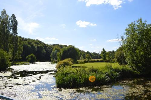 a river with grass and a field and trees at Maison Familiale in Bonneval