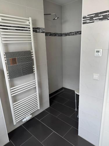 a bathroom with a walk in shower and a mirror at Villa Ostseebrise in Trent