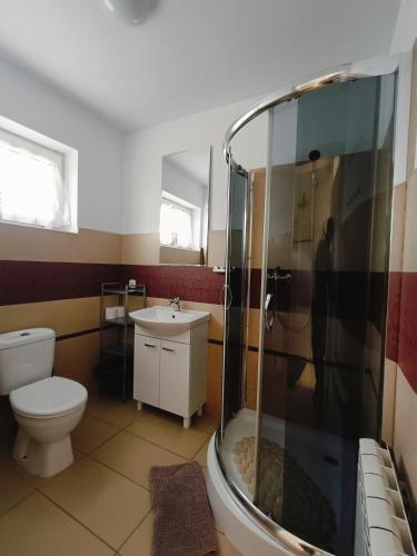 a bathroom with a shower and a toilet and a sink at Sielski Domek pod Karpaczem in Miłków
