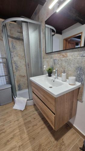 a bathroom with a sink and a shower at Kuća za odmor Helena in Gornji Budački