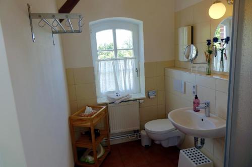 a bathroom with a sink and a toilet and a window at Sonnenlandhof in Neuruppin