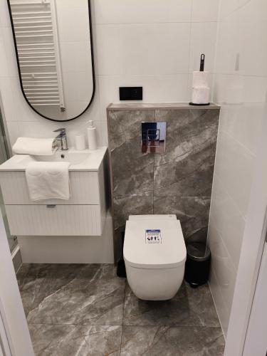 a bathroom with a toilet and a sink and a mirror at Drzewna Apartamenty-Żeromskiego, Stare Miasto in Zielona Góra