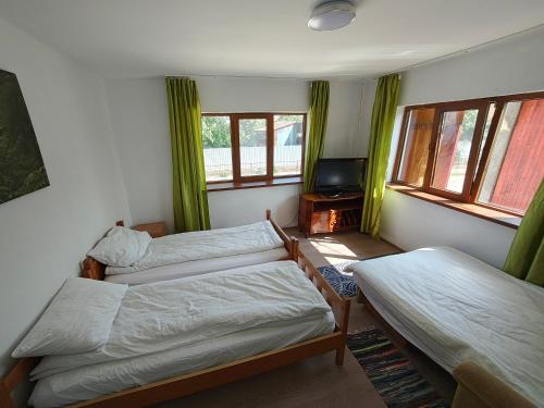 Cette chambre comprend 2 lits, une télévision et des fenêtres. dans l'établissement La Tataia Zahei, à Drăguş