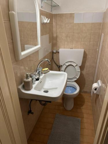 a small bathroom with a sink and a toilet at Katsi Traditional & Medieval House in Mesta