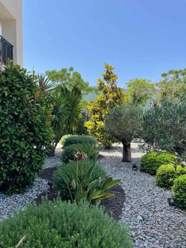 a garden with plants and trees and a building at Apartman Celine PortoNovi in Kumbor