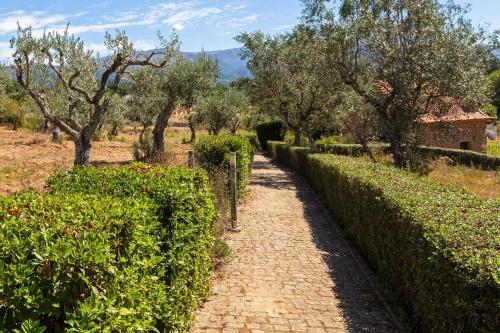 a path through a garden with bushes and trees at Raízes da Vinha - Quartos & Chalé na Serra da Estrela in Carragozela