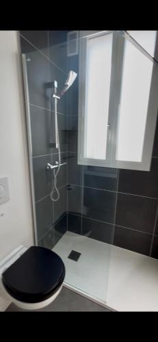 La salle de bains est pourvue d'une douche et de toilettes noires. dans l'établissement Super appart à Clamart 3 pièces - 7 min gare, à Clamart