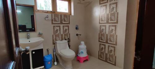 a small bathroom with a toilet and a sink at Teyser Holiday Home in Leh