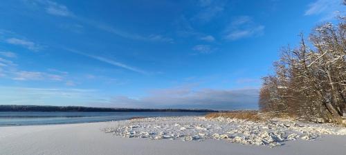 a snow covered beach with trees and a body of water at Mazurski oddech in Zgon