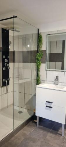 une salle de bain avec un lavabo et une douche en verre dans l'établissement Bastidon l'Arc en ciel, à Fréjus