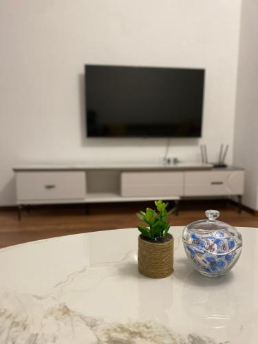 TV a/nebo společenská místnost v ubytování Apartament Adian