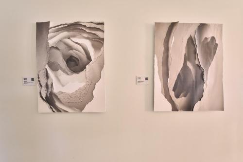 two paintings of a woman on a wall at Stile Downtown Los Angeles By Kasa in Los Angeles