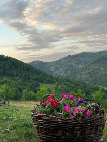 a basket of flowers in a field with mountains in the background at Brvnare Puljci 2 in Nova Varoš