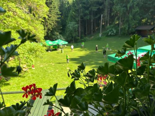 a park with people playing in the grass at Planinska koča na Kopitniku in Dol pri Hrastniku