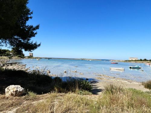 Φυσικό τοπίο κοντά σε αυτό το διαμέρισμα