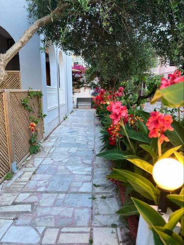 Κήπος έξω από το Διαμερίσματα Γιάννας