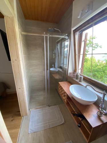 a bathroom with a shower and a sink and a mirror at Landhaus Marmorata FeWo in Sattendorf