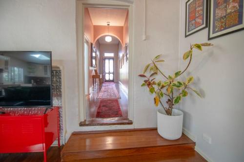 a hallway with a plant in a vase on the floor at Bylund Cottage in Albany