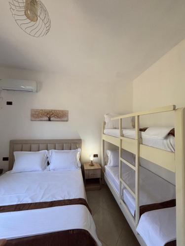 a bedroom with two bunk beds and a lamp at Villa 176 in Baks-Rrjoll