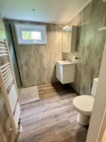 a bathroom with a toilet and a sink and a window at Chalet Zuiderzicht in Odoornerveen