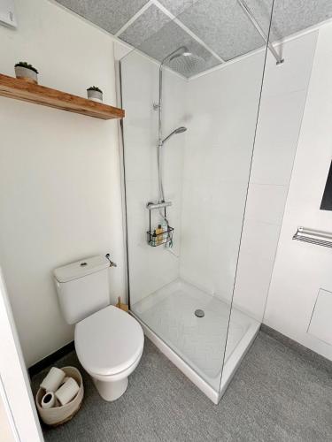 une salle de bain avec toilettes et douche dans l'établissement STUDIO CHALET sous les figuiers, à Saint-Nazaire-de-Pézan