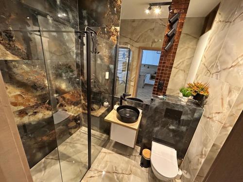 a bathroom with a shower and a toilet in it at Apartamenty Termal Water Długa 35 in Uniejow