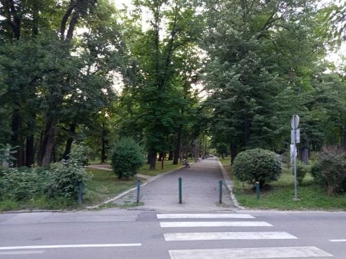 an empty street with a crosswalk in a park at ParkSide Apartman in Arandjelovac