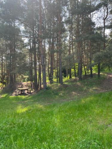 a picnic table in the grass in a forest at Faina Garna Hata in Medvin