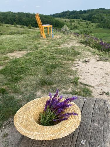 a wicker basket with a flower in it on a table at Faina Garna Hata in Medvin