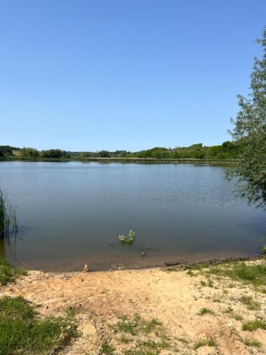 a body of water with a bunch of plants in it at Faina Garna Hata in Medvin