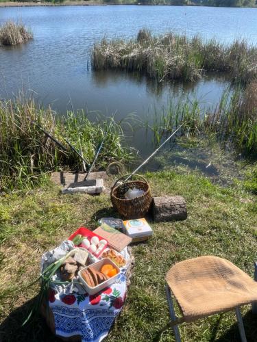a picnic table next to a body of water at Faina Garna Hata in Medvin