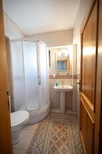 a bathroom with a shower and a toilet and a sink at Villa Olive Garden in Datca