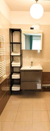 une salle de bain avec un lavabo et un miroir dans l'établissement Appartement Magnolia 40m2, parking et wifi gratuit, à Montévrain