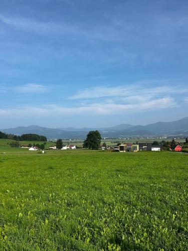 a field of green grass with a town in the background at Tinyhome Murtal -SlowCamping in Fohnsdorf