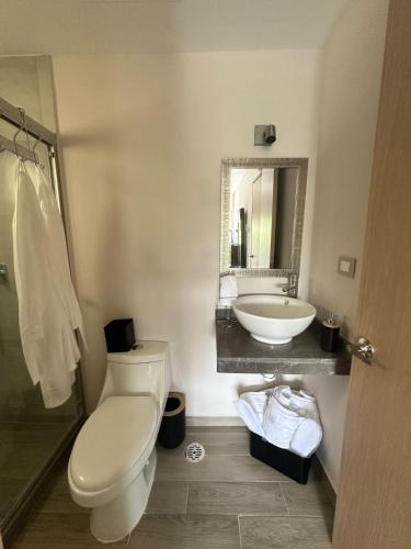 a bathroom with a toilet and a sink at Modern Oceanfront Retreat 2BD 2BDR Wifi Pool in Veracruz