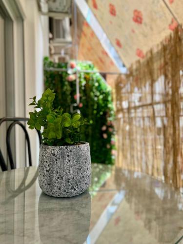 Yiayias home - Retro tranquility near Syntagma