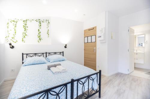 Katil atau katil-katil dalam bilik di Charming Cosy Studio in Beziers town centre