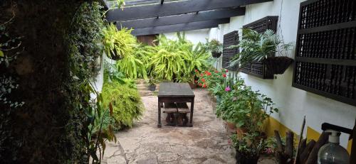 Un jardín fuera de Finca La Mara