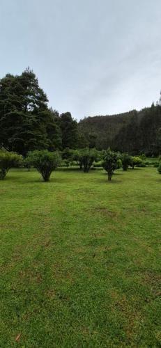 Un paisaje natural cerca of the country house