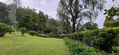 Un jardín fuera de Finca La Mara
