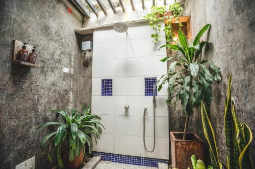 a bathroom with a shower with plants at Waka Hotel Rural in Honda