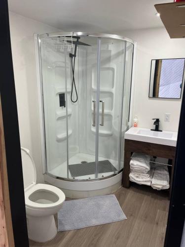 a bathroom with a shower and a toilet and a sink at Bubbles in Saint Andrews