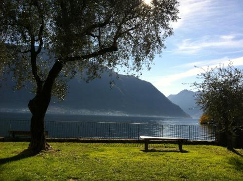 Paesaggio naturale nelle vicinanze dell'appartamento